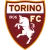 logo Torino